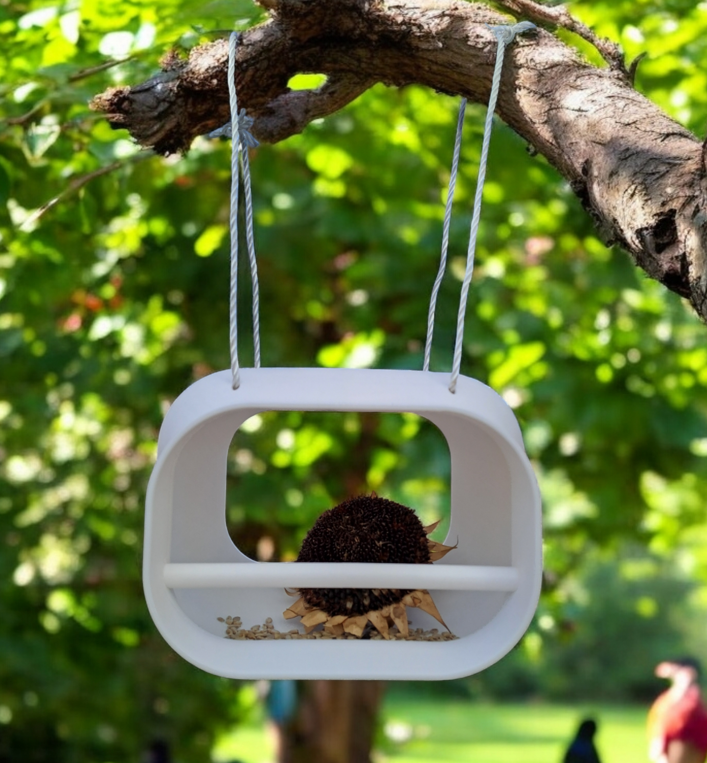 Mangeoire à oiseaux moderne – design et pratique