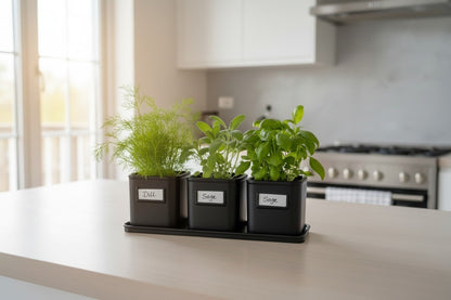 Set de pots à herbes aromatiques avec plateau - vue 4