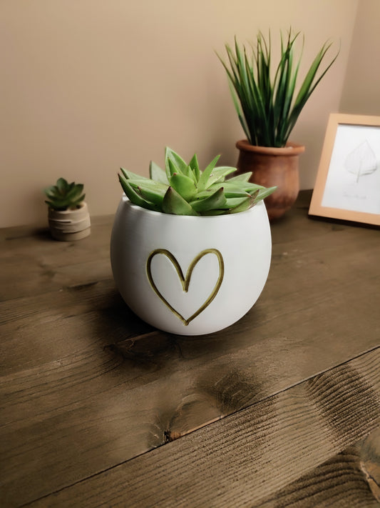 Pot à plante en forme de cœur