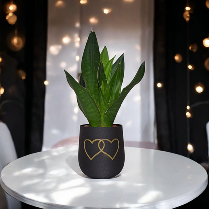 Pot décoratif "Cœurs Entrelacés"