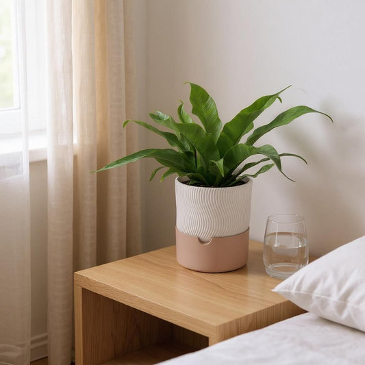 Set de 2 jardinières côtelées auto-irrigantes - vue 1