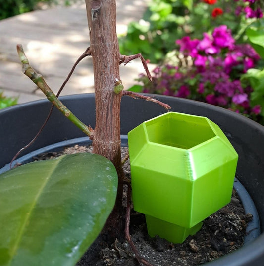 Pique d'arrosage hexagonal pour plantes - vue 1
