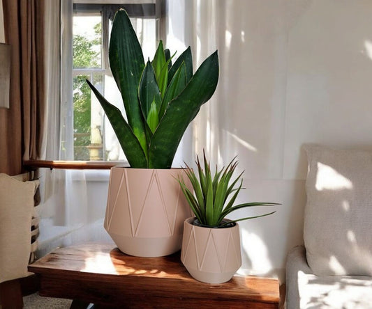 Jardinière design « GeoBloom » - vue 1