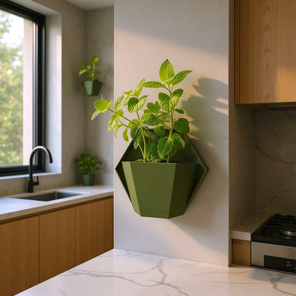 Pot mural hexagonal moderne